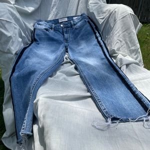Pacsun Vintage Icon jean